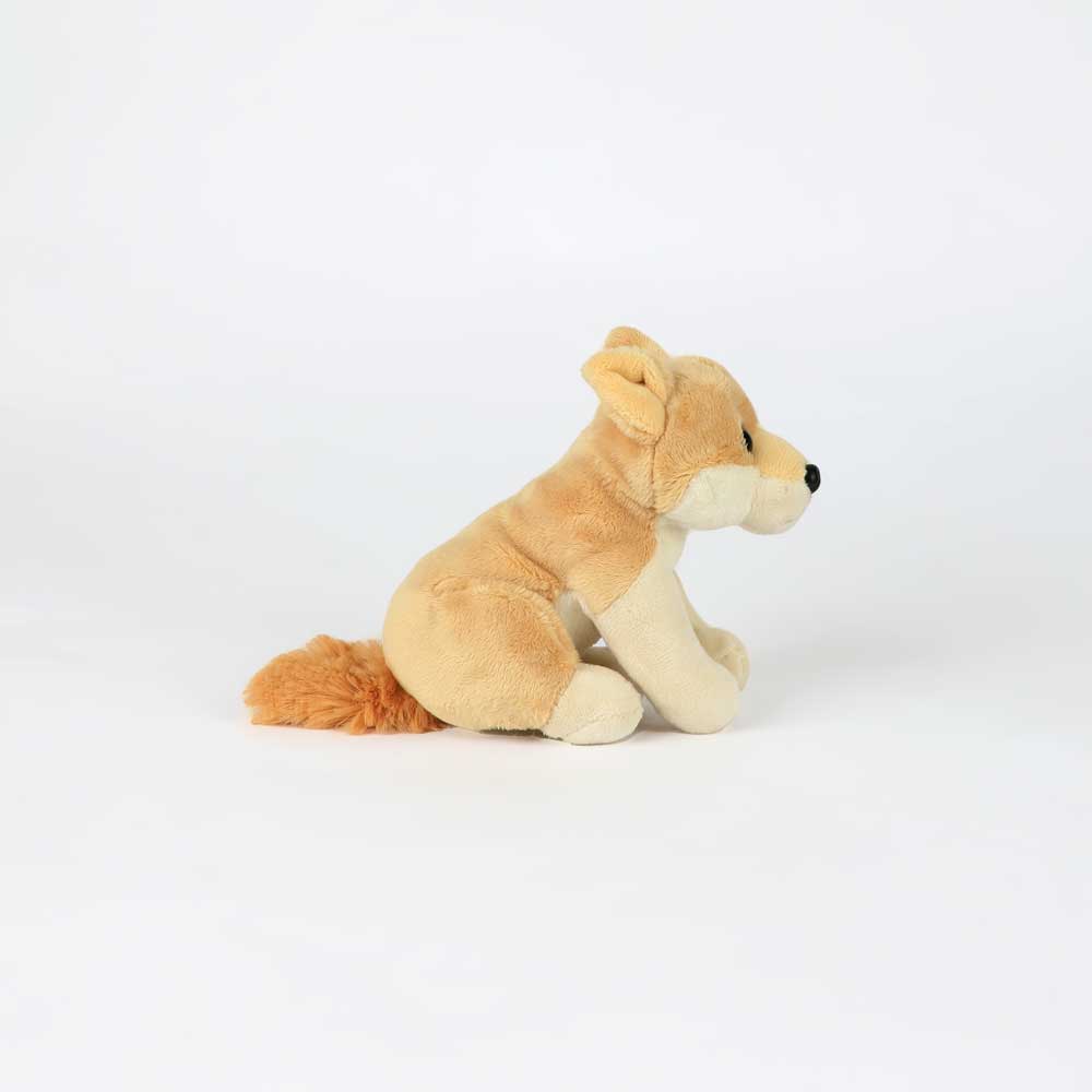 Dingo pocketkins plush toy on white background