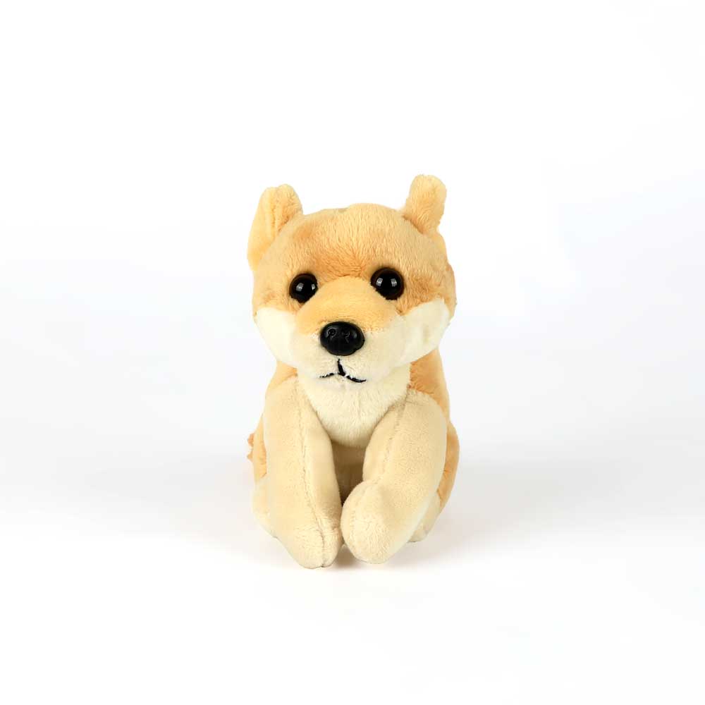 Dingo pocketkins plush toy on white background