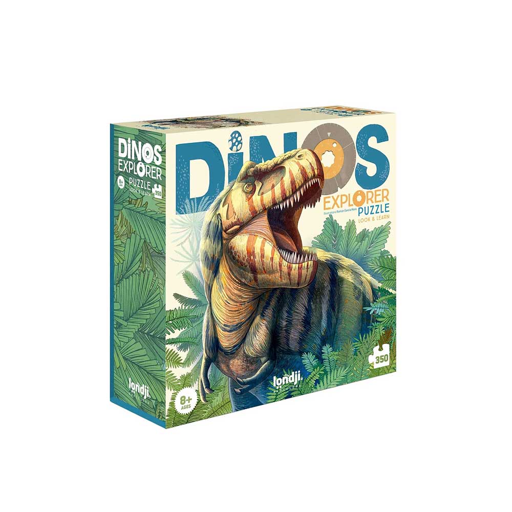 Dinos explorer puzzle on white background