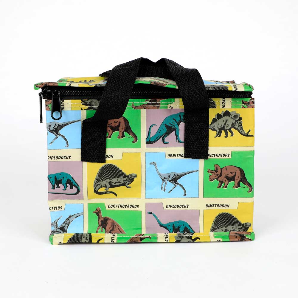 Dinosaur graphic insulated lunch bag on white background
