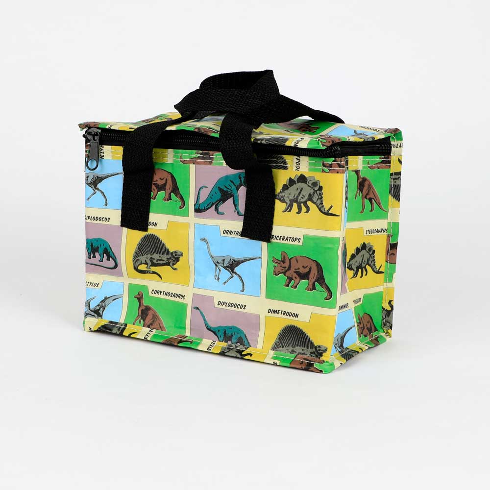 Dinosaur graphic insulated lunch bag on white background