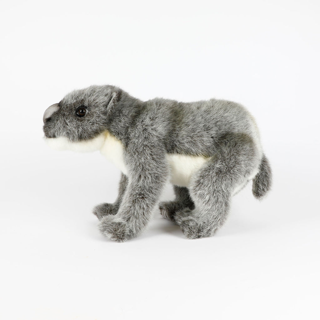 Australian megafauna soft toy Diprotodon optatum on white background