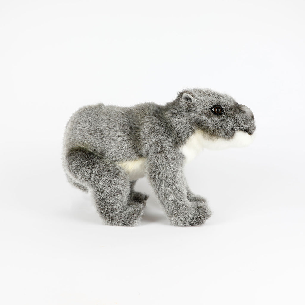 Australian megafauna soft toy Diprotodon optatum on white background