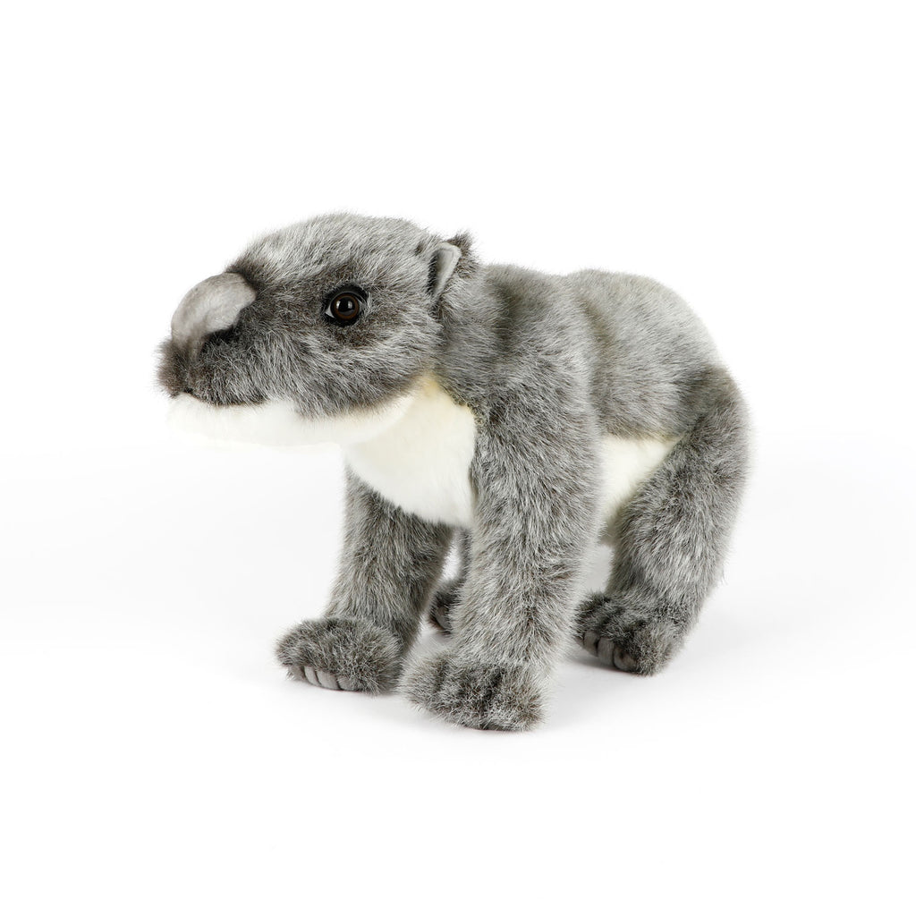 Australian megafauna soft toy Diprotodon optatum on white background