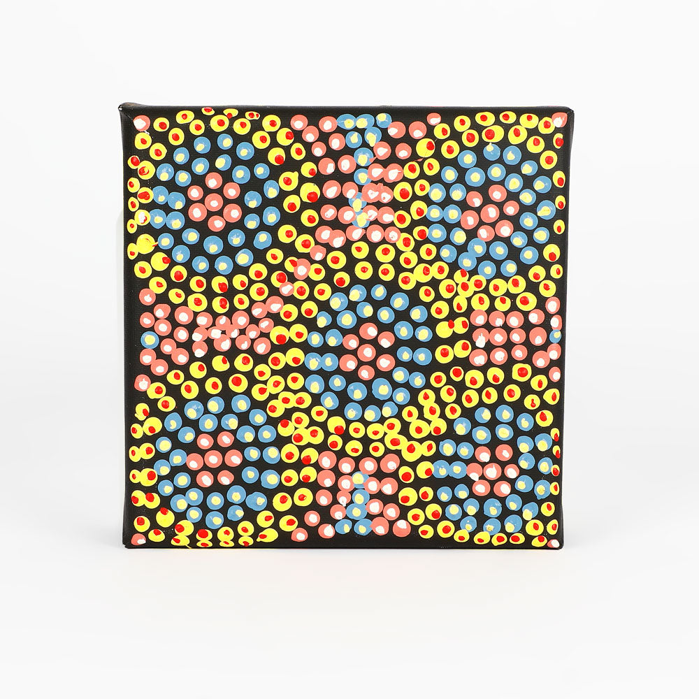 Handpainted canvas from Warlukurlangu Artists Cooperative on white background