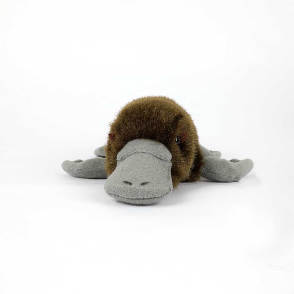 Duck Billed platypus plush on white background for the Australian Museum Shop online