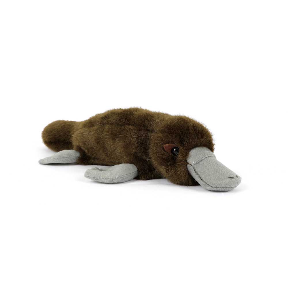 Duck Billed platypus plush on white background for the Australian Museum Shop online