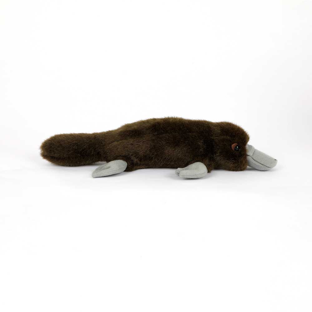 Duck Billed platypus plush on white background for the Australian Museum Shop online