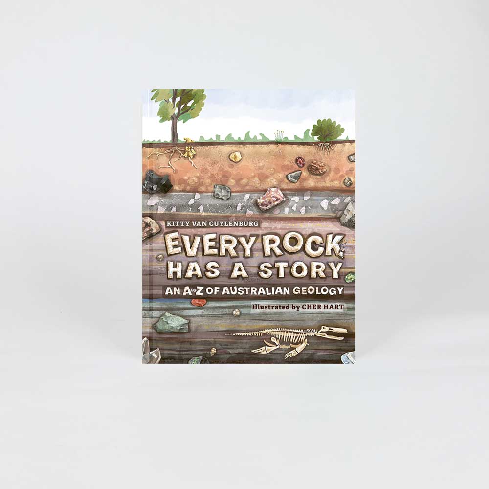 Every Rock Has A Story book on white background