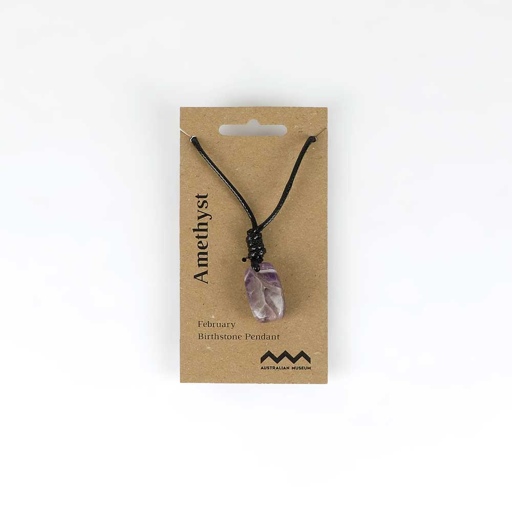 February birthstone pendant on leather and fibre necklace on white background for Australian Museum Shop online