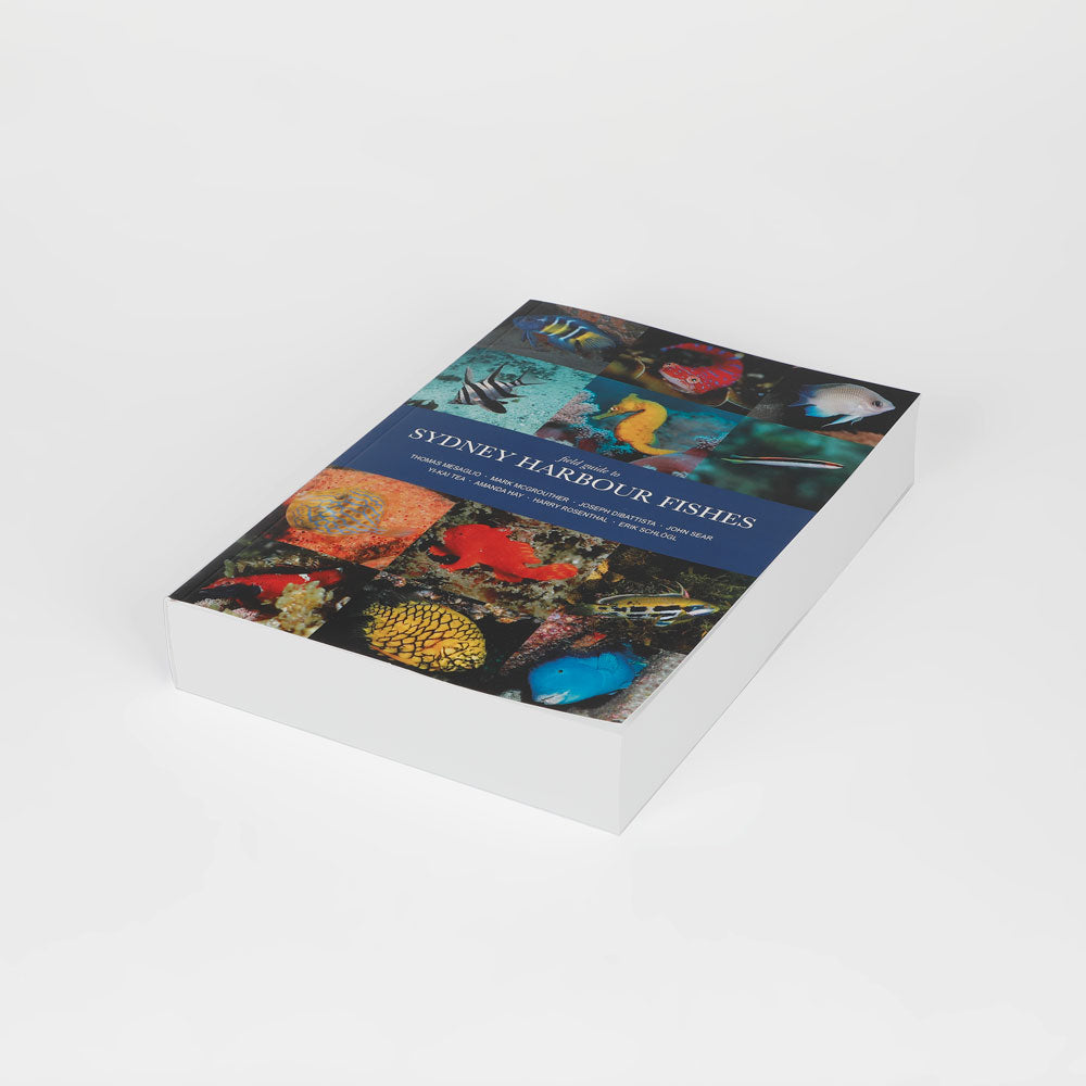 Field guide to Sydney Harbour Fishes book on white background