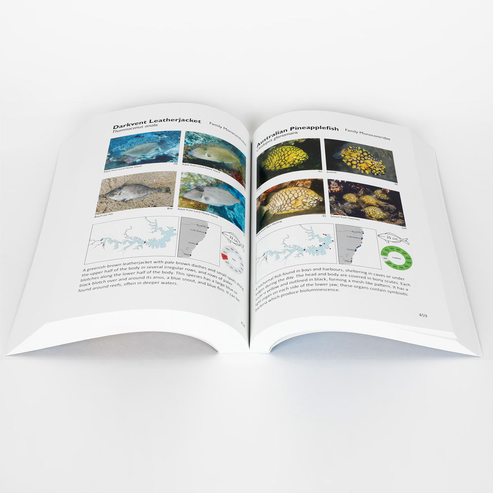 Interior pages of Field guide to Sydney Harbour Fishes book on white background