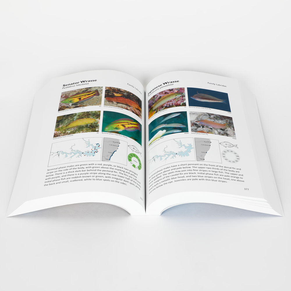 Interior pages of Field guide to Sydney Harbour Fishes book on white background