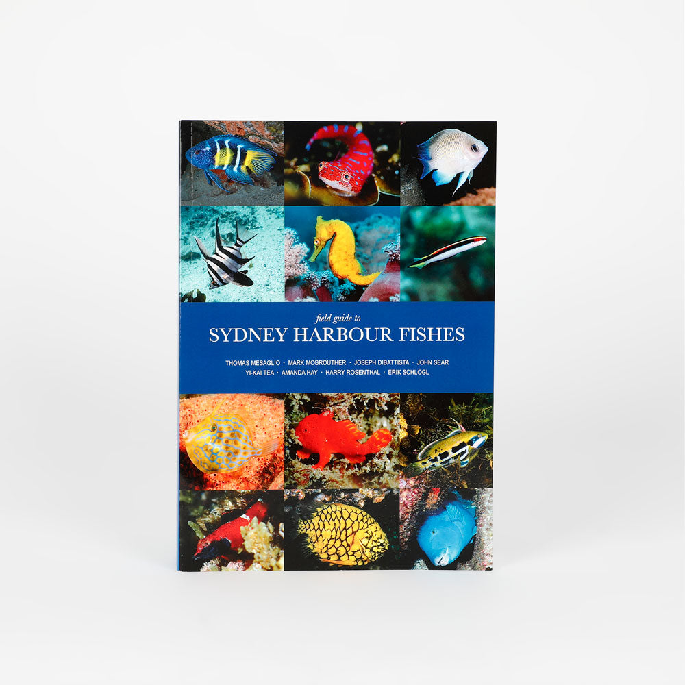 Field guide to Sydney Harbour Fishes book on white background