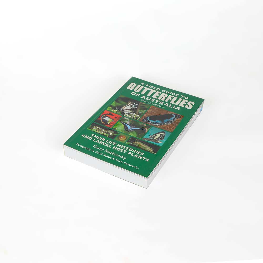 A Field Guide To Butterflies Of Australia book on white background