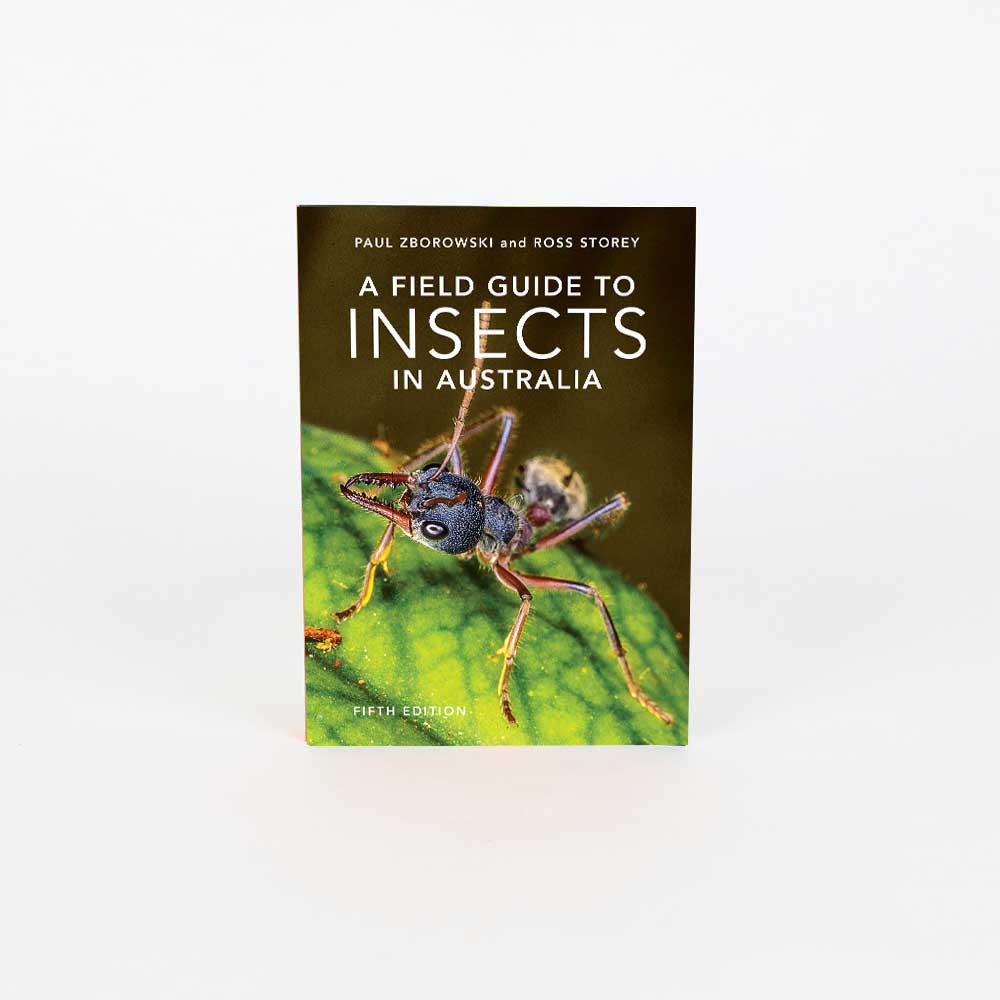 Aus Insects A Field Guide To Insects Of Australia – Australian Museum Shop