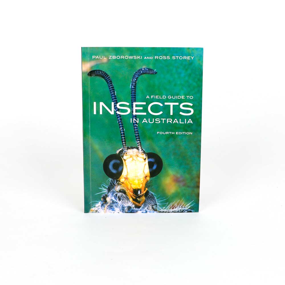 A Field Guide To Insects In Australia – Australian Museum Shop