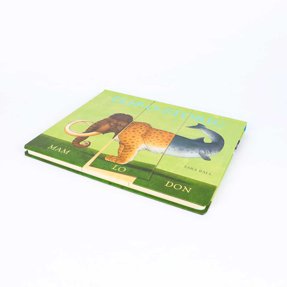 Flip-O-Storic mix and match board book on white background