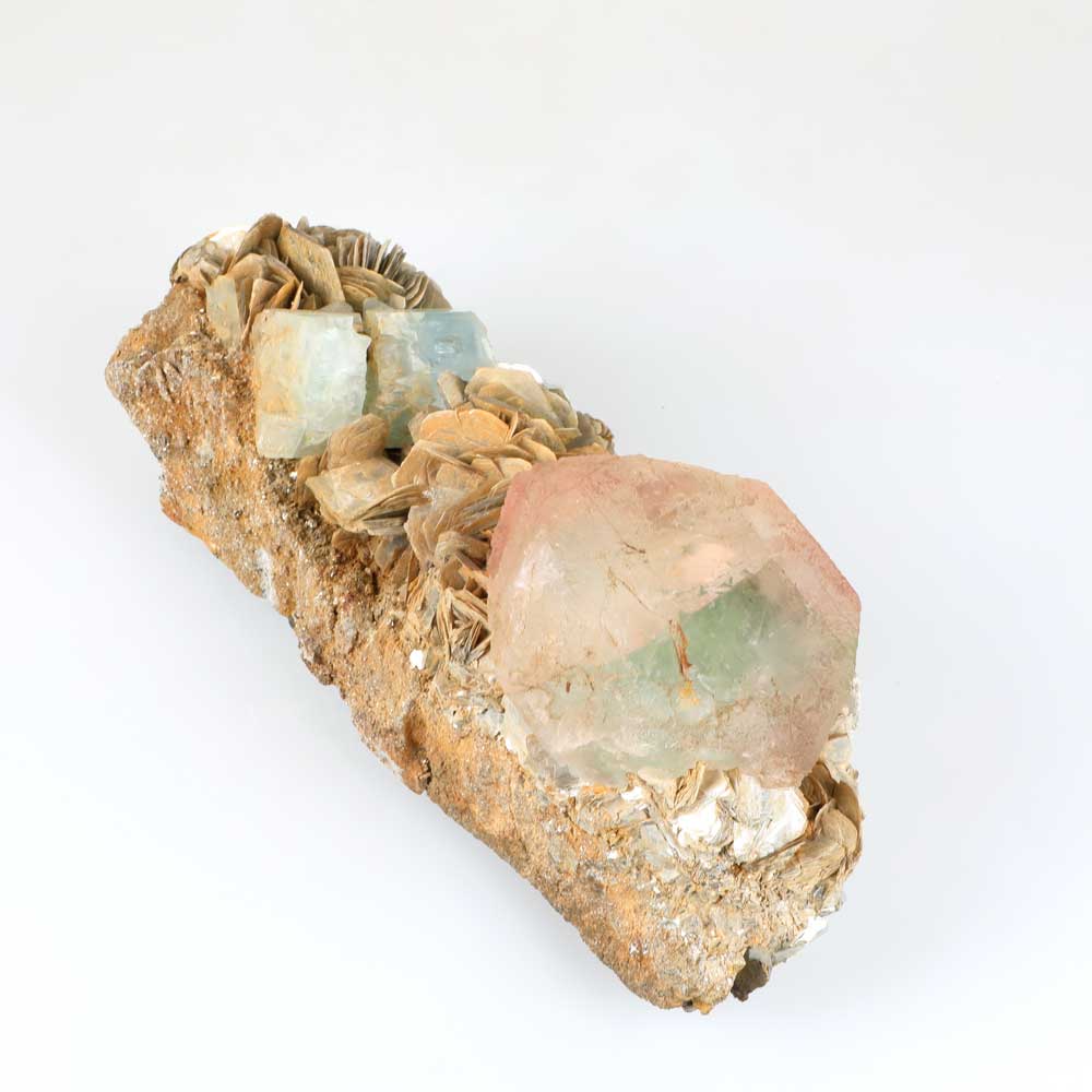 Extraordinary Aquamarine with pink and green Fluorite on fluorite and muscovite mica. photographed on white background for Australian Museum Shop online