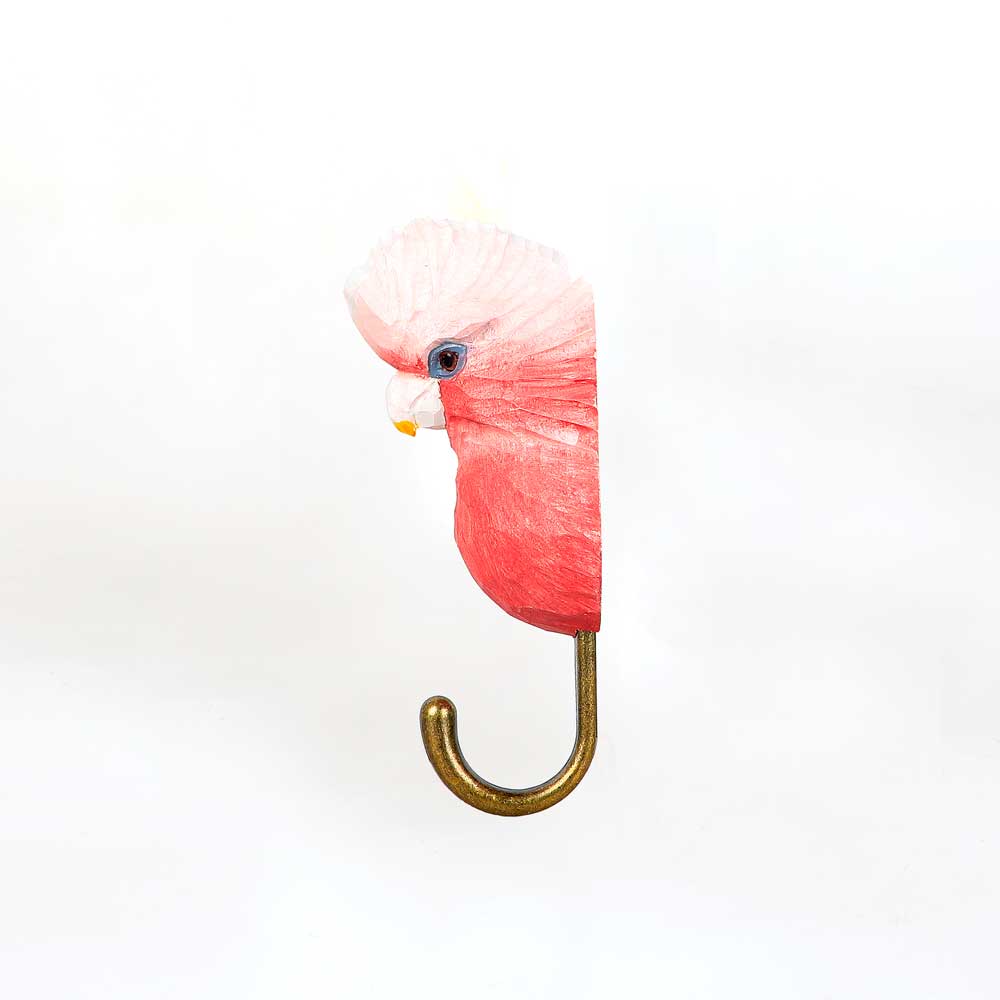 Galah storage hook for wall mounting photographed on white background. Australian Museum Shop online