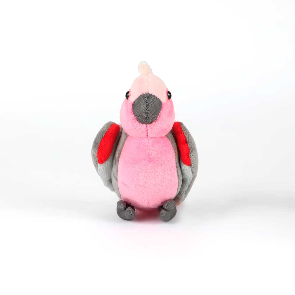 Galah pocketkins plush toy on white background