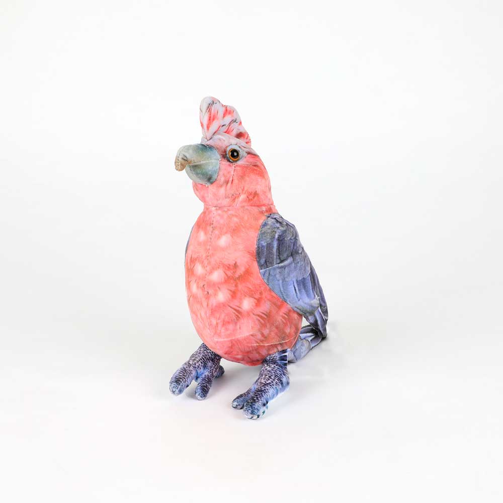 Gabrielle the Galah printed plush toy on white background for Australian Museum Shop online