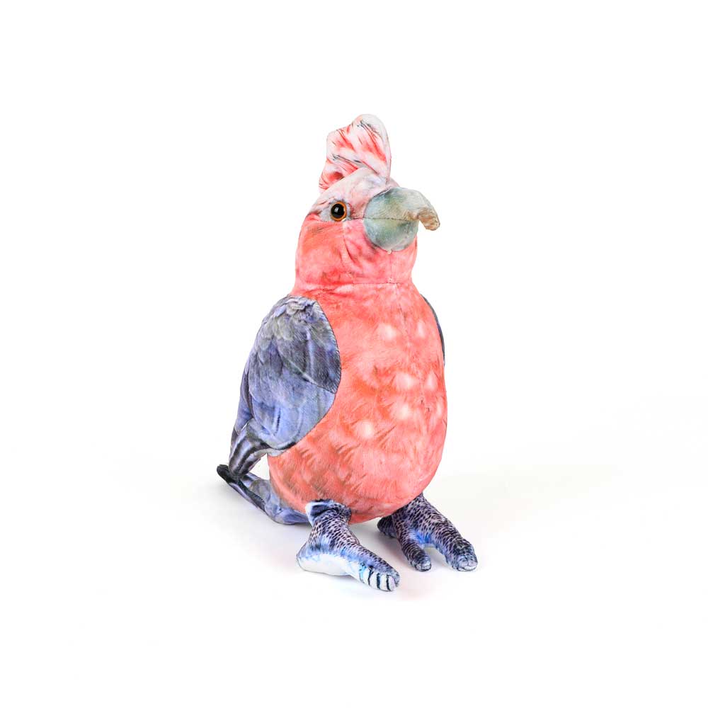 Gabrielle the Galah printed plush toy on white background for Australian Museum Shop online