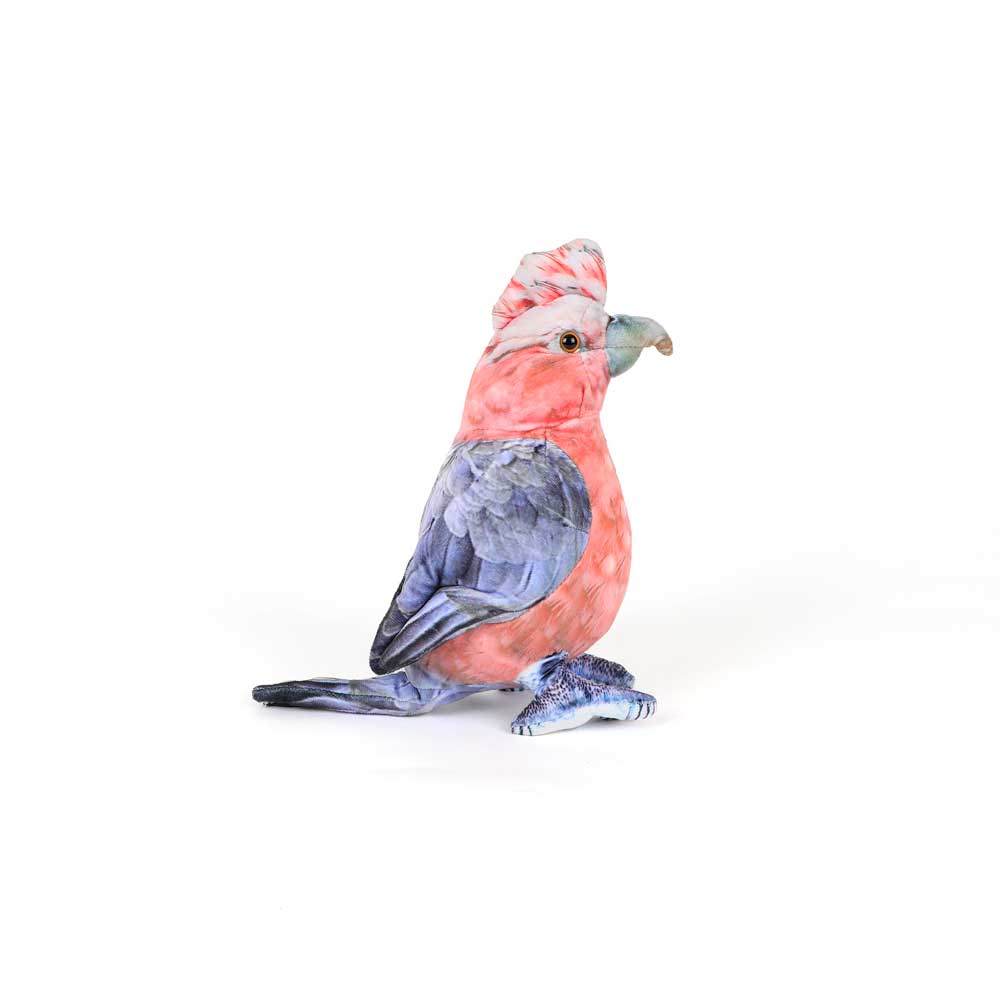 Gabrielle the Galah printed plush toy on white background for Australian Museum Shop online