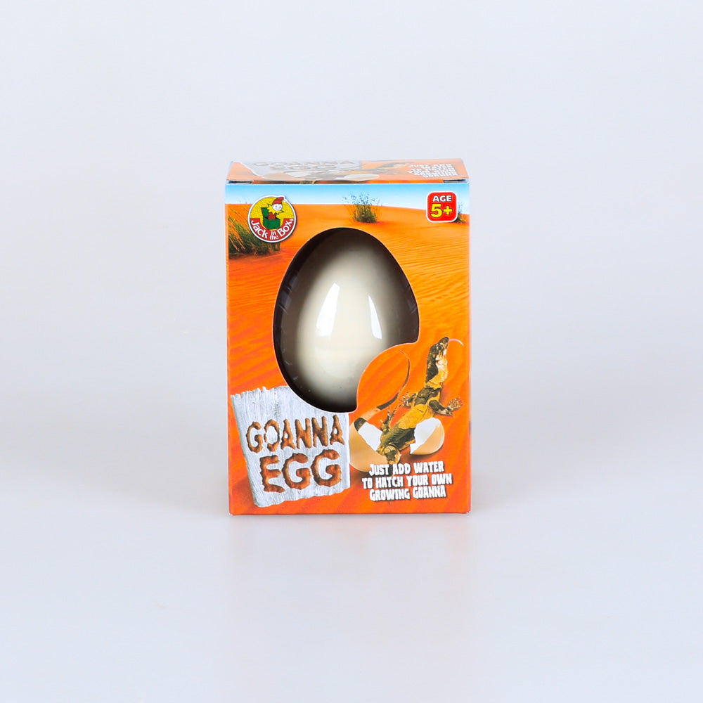 Goanna egg growing pet on white background for Australian Museum Shop online