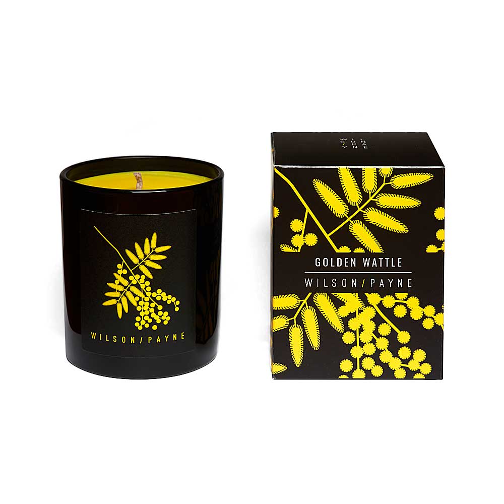 Australian Bush Candles Wilson Payne Golden Wattle fragrance on white background