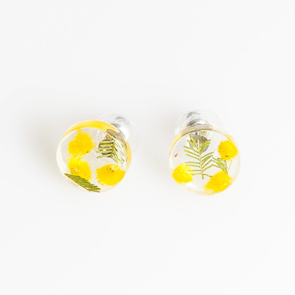 Button stud earrings. Golden wattle in clear acrylic resin. photographed on white background for Australian Museum Shop online
