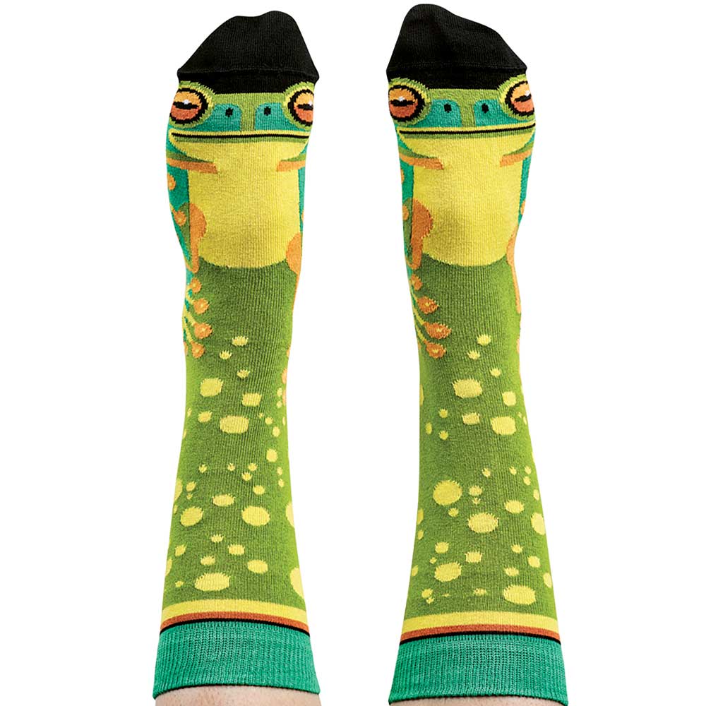 Green tree frog Wilson Payne socks on white background