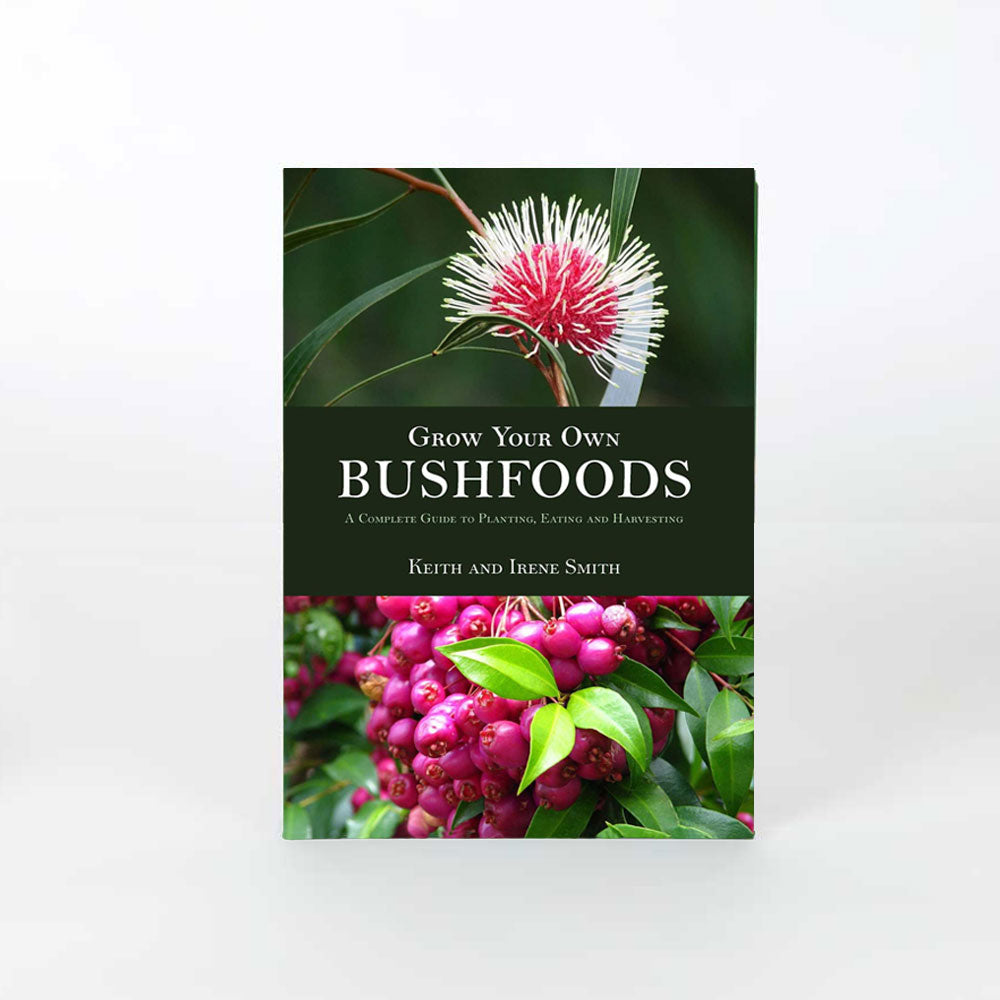 Grow your own bush foods book on white background