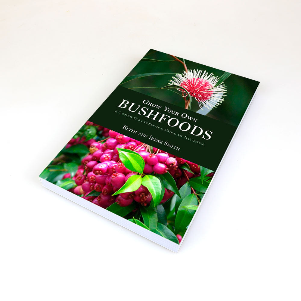 Grow your own bush foods book on white background