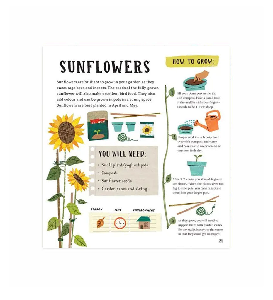 Internal Sunflowers page from 'Growing Green: A First Book of Gardening' with illustrated projects, facts and fun. On white background.