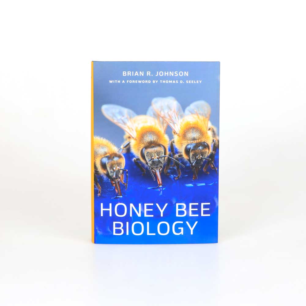 Honey Bee Biology on white background for Australian Museum Shop online