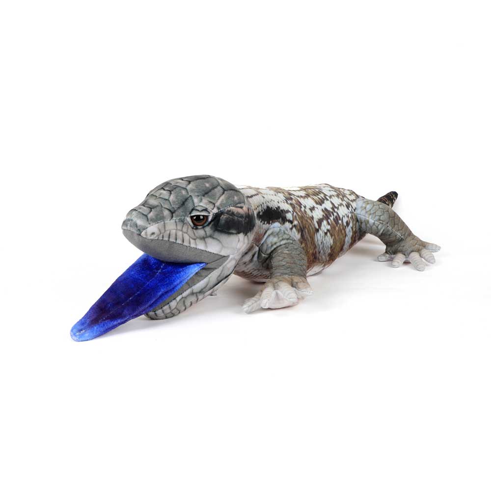 Blue tongue lizard printed plush toy on white background for Australian Museum Shop online