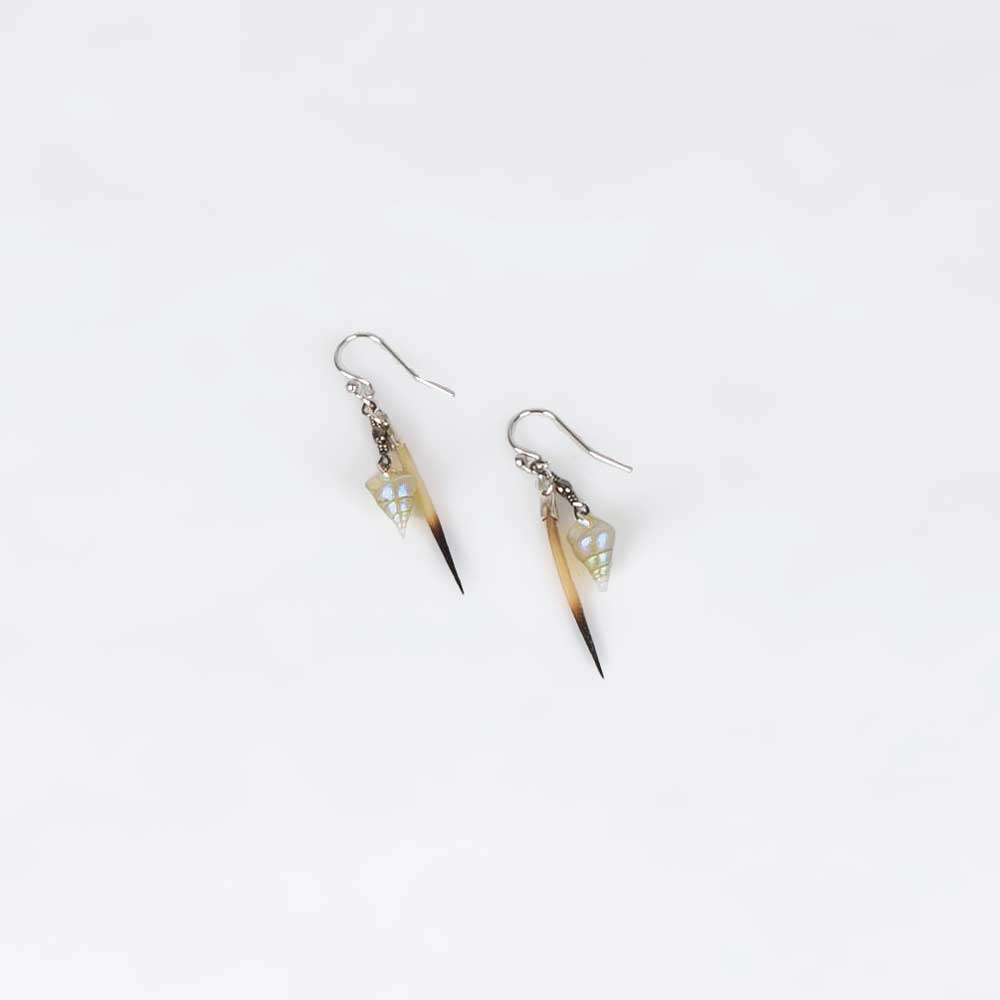 Maireener Shell and Echidna Quill Earrings hand made by Palawa artist, Jeanette James on white background