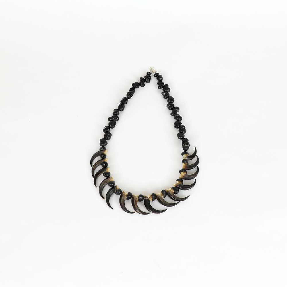 Eagle Claw and Black Crow Necklace on white background