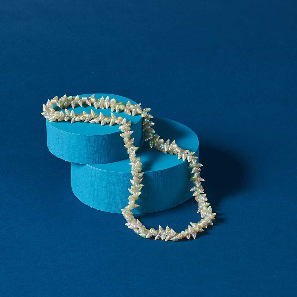 Maireener shell necklace photographed on blue background Australian Museum Shop online