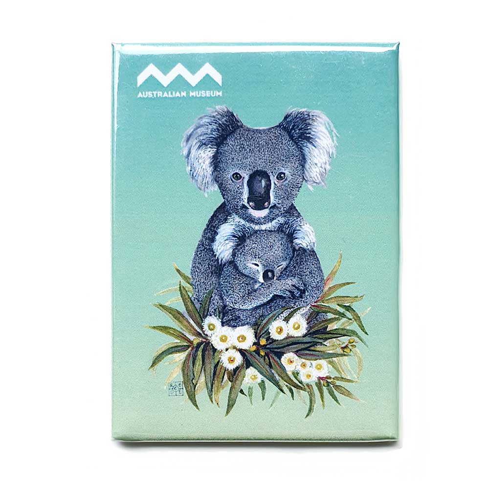 Koala magnet by artist Rose Colbeck for the Australian Museum