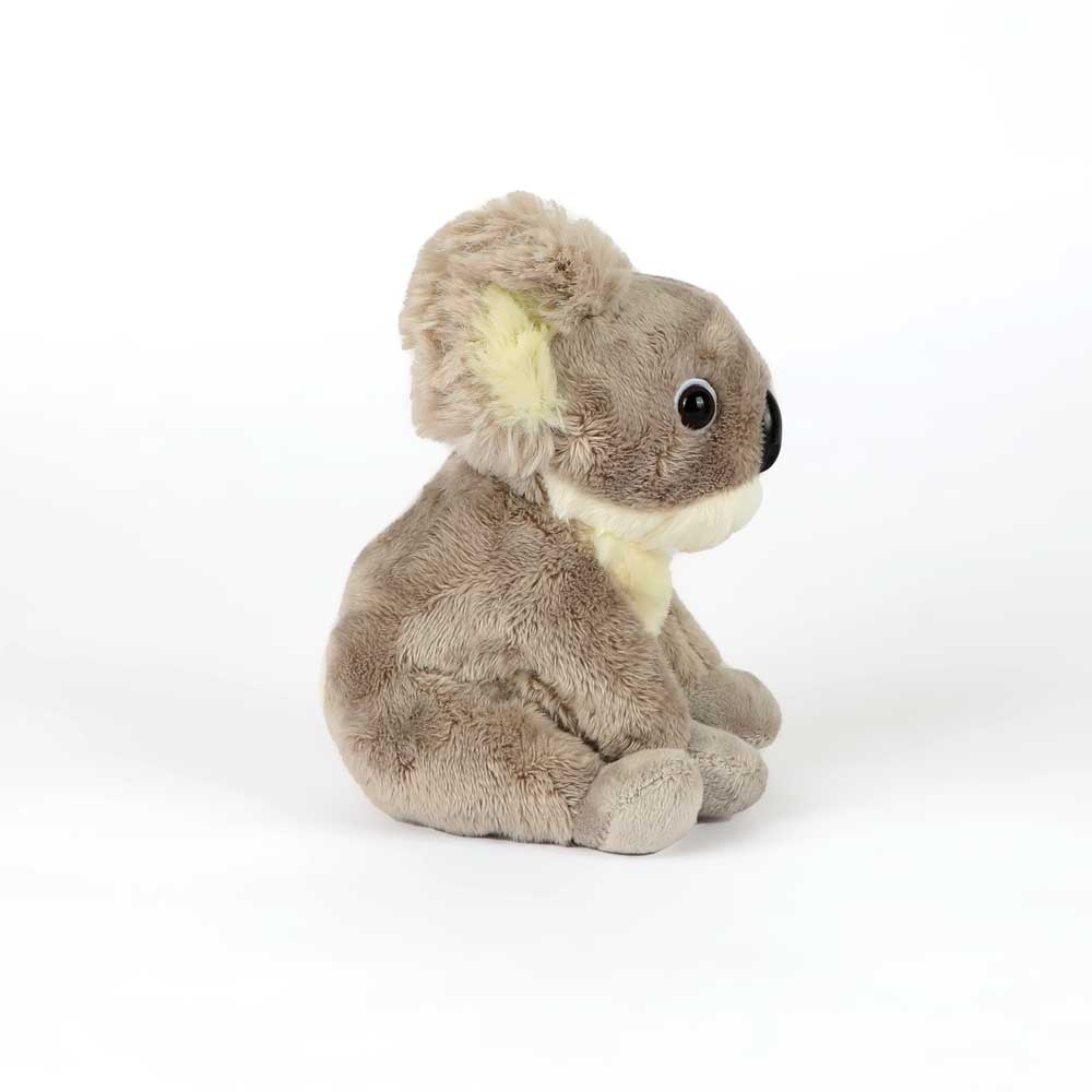 Koala pocketkins plush toy on white background