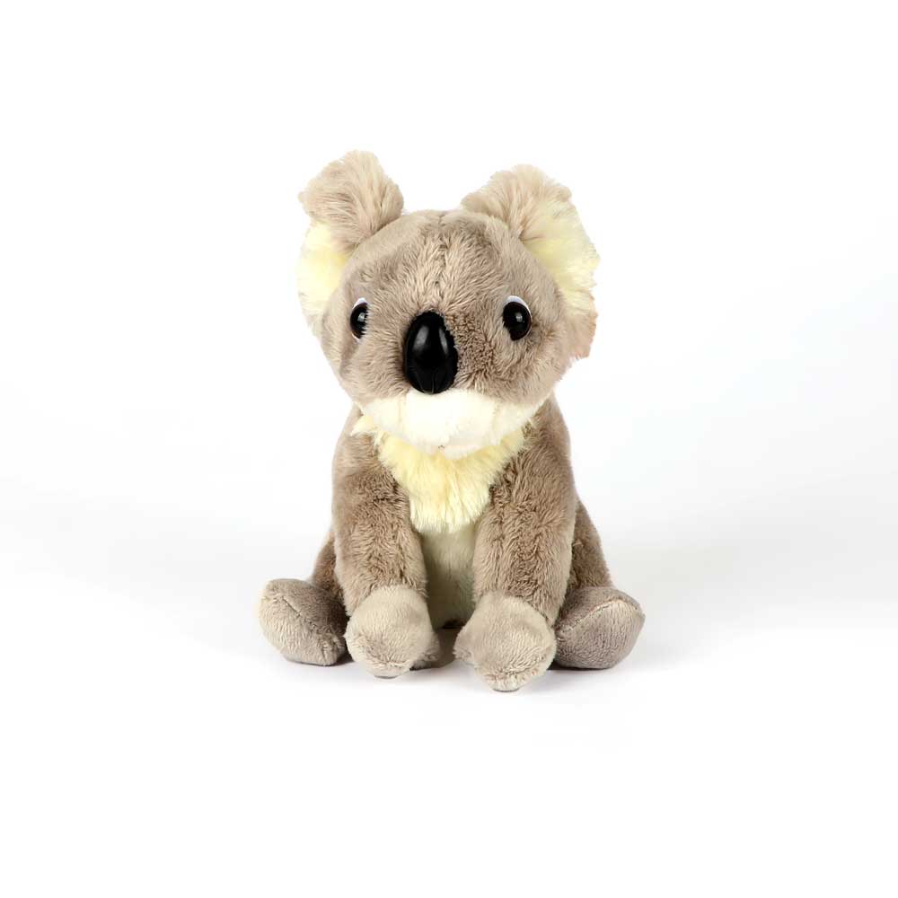 Koala pocketkins plush toy on white background