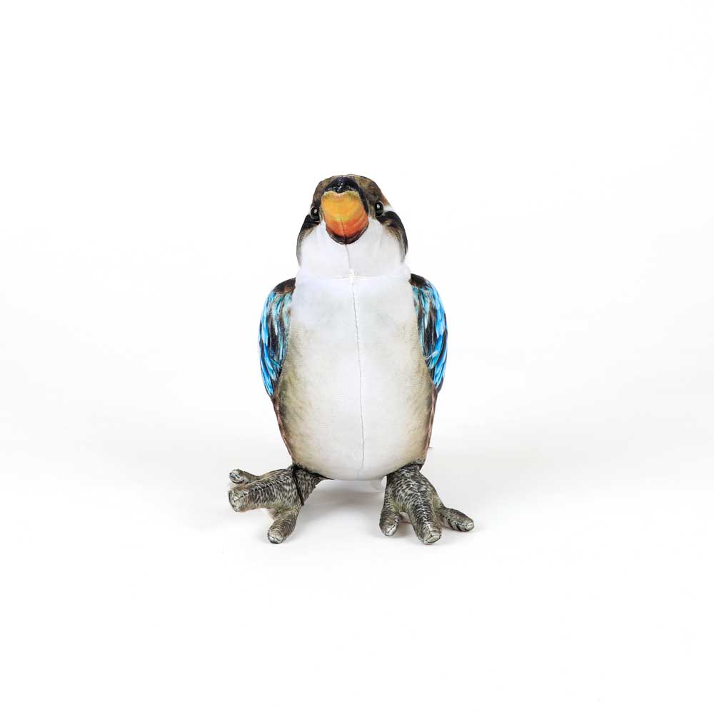 Kingsley Kookaburra plush toy on white background for Australian Museum Shop online