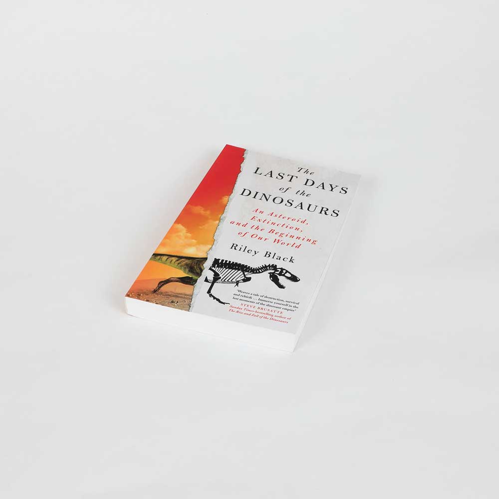 The Last Days Of The Dinosaurs book cover on white background