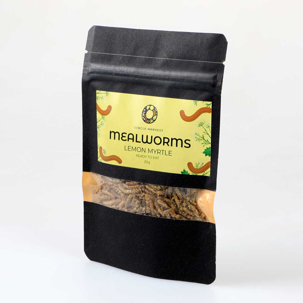 Edible mealworms ready to eat snack pack. Australian Museum Shop online