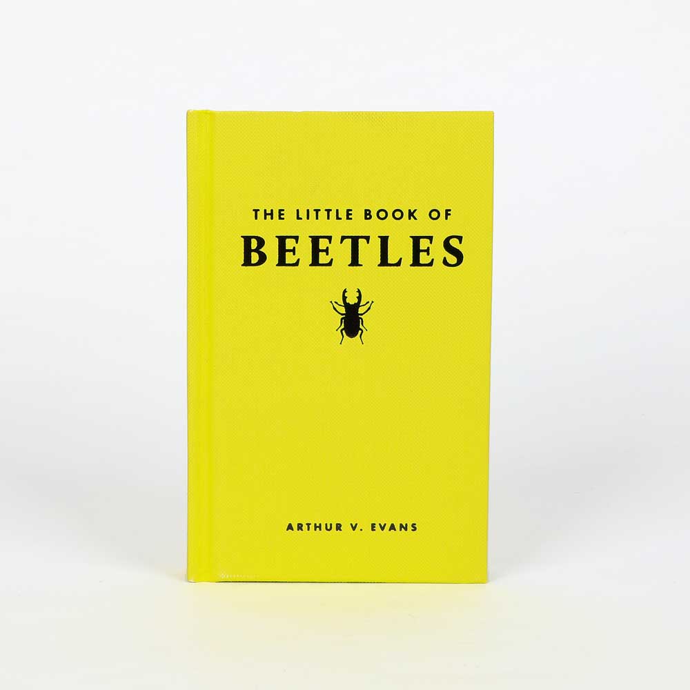 Little book of beetles on white background