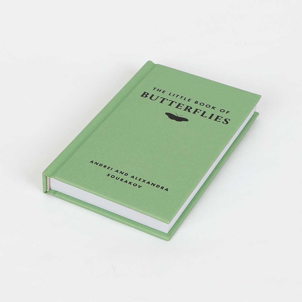 Little book of butterflies on white background