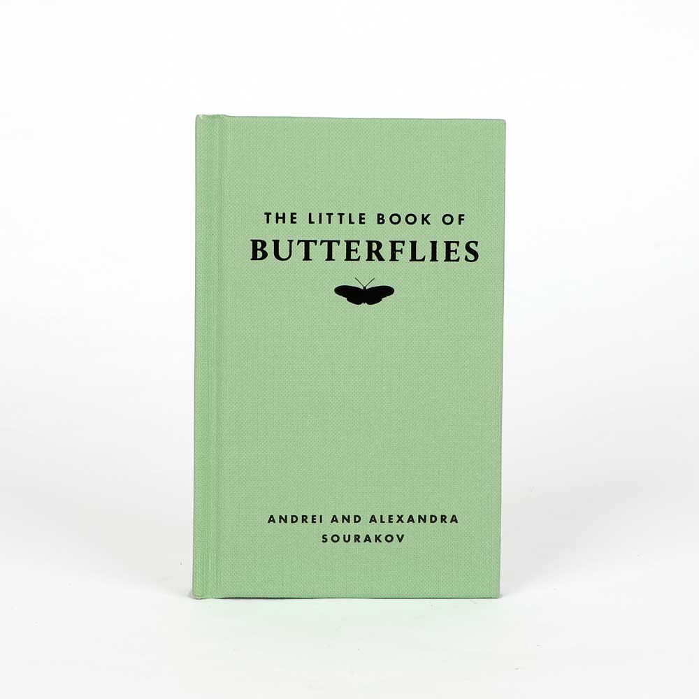 Little book of butterflies on white background