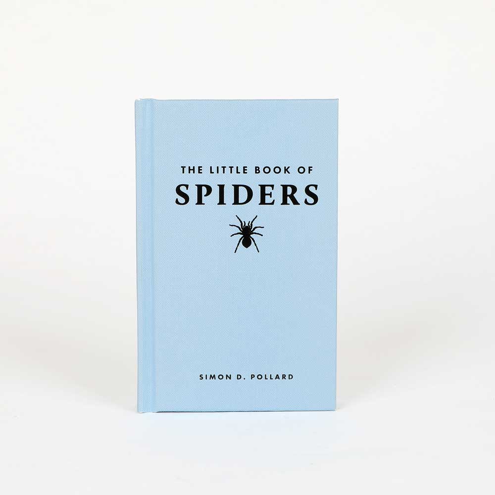 Little book of spiders on white background